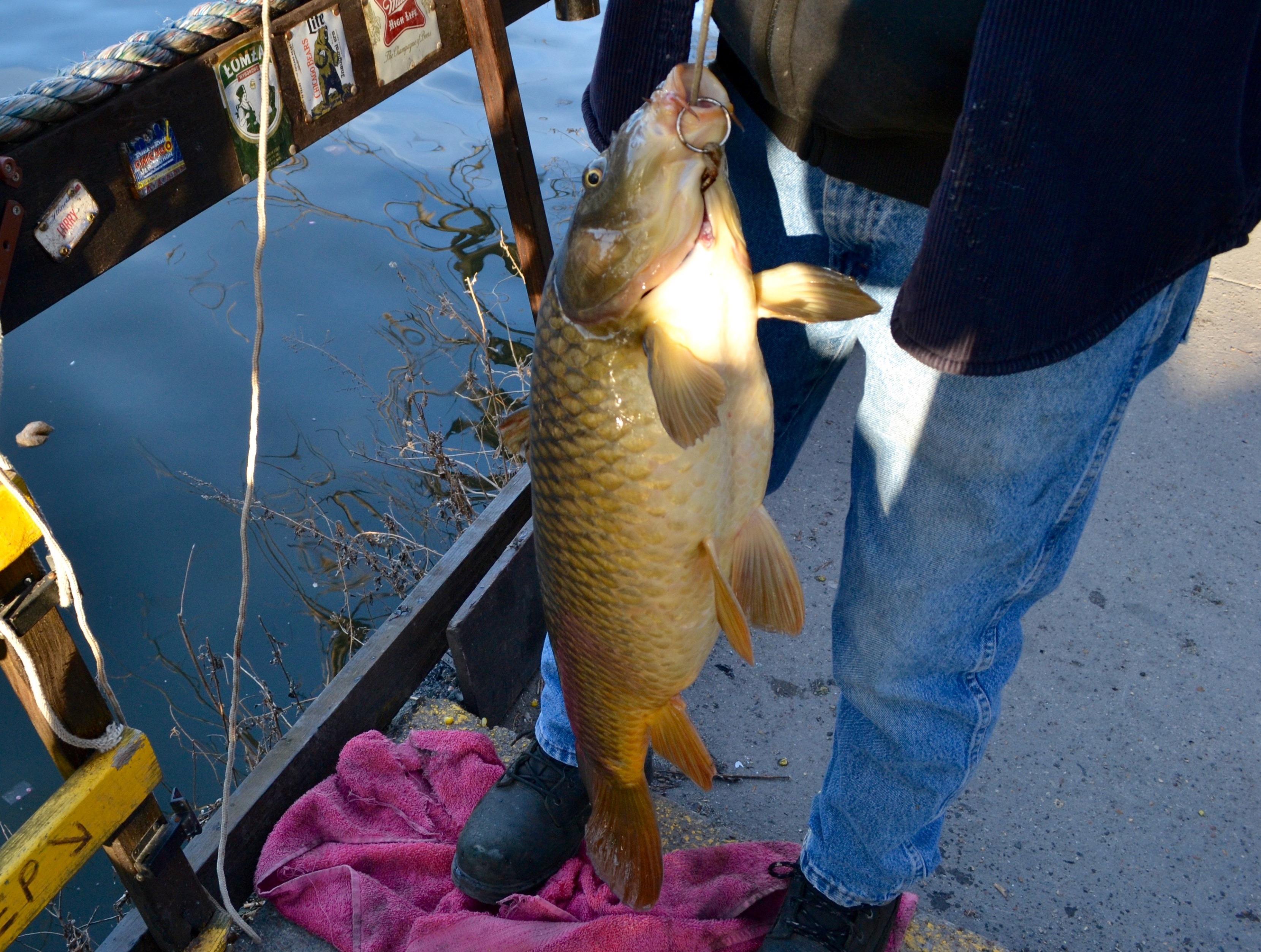 Fishing on the Chicago River | Chicago News | WTTW